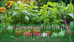 plant combinations for effective pest control