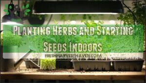 planting herbs and starting seeds indoors
