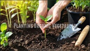 planting organic vegetables