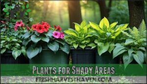 plants for shady areas