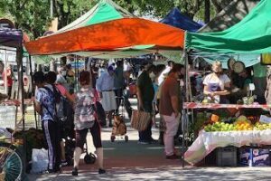 Plaza Torent