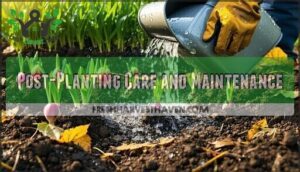 post-planting care and maintenance