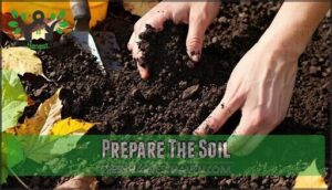 prepare the soil