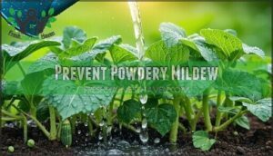 prevent powdery mildew