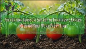 preventing blossom end rot tomatoes