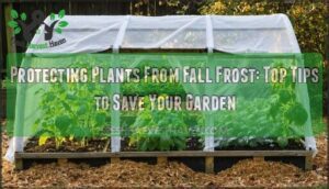 protecting plants from fall frost