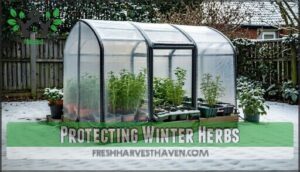 protecting winter herbs