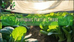providing partial shade