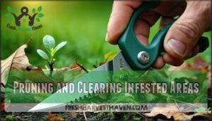 pruning and clearing infested areas