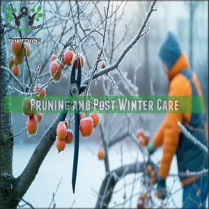 pruning and post winter care