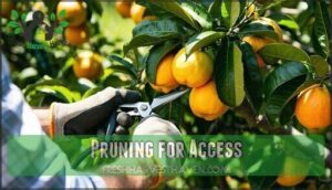 pruning for access