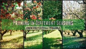 pruning in different seasons