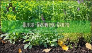 quick-growing crops
