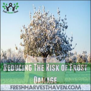 reducing the risk of frost damage