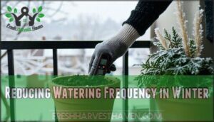 reducing watering frequency in winter