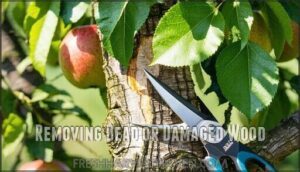 removing dead or damaged wood