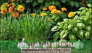 repellent plant examples
