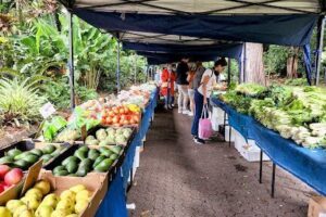Riverside Sunday Market