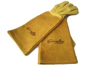 Rose Pruning Gloves for Men B01K119VU2