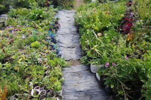 Roslyny Plantas