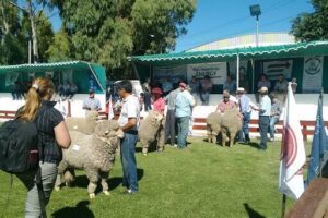 Rural Society of Comodoro Rivadavia