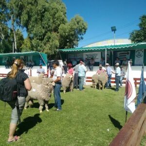 Rural Society of Comodoro Rivadavia