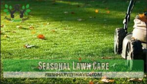 seasonal lawn care