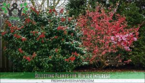 selecting plants for winter interest