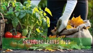 shredded leaves uses