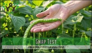 snap test
