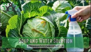 soap and water solution