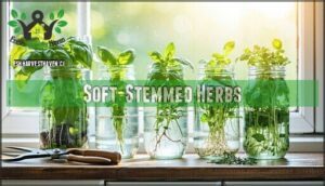 soft-stemmed herbs