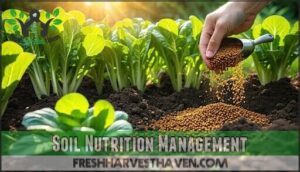soil nutrition management