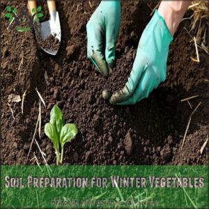 soil preparation for winter vegetables