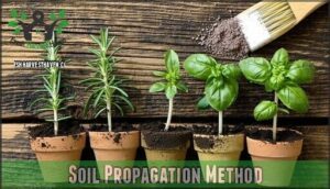 soil propagation method