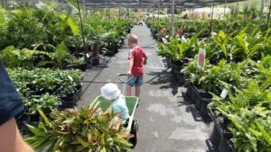 Spectrum Plants