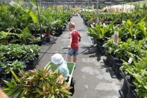 Spectrum Plants
