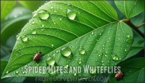 spider mites and whiteflies