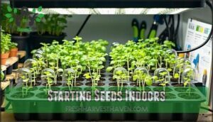 starting seeds indoors