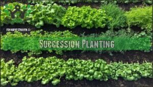 succession planting
