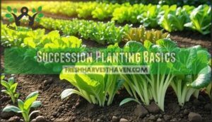 succession planting basics