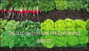 succession planting for continuous harvest