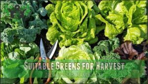 suitable greens for harvest