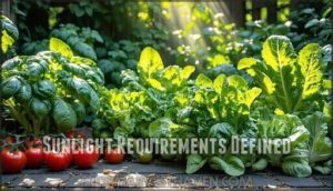 sunlight requirements defined