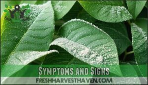 symptoms and signs