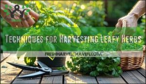 techniques for harvesting leafy herbs