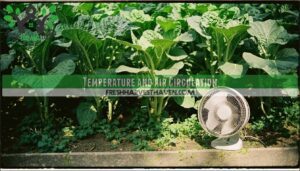 temperature and air circulation