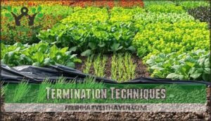 termination techniques