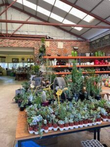 The Gardeners Nursery