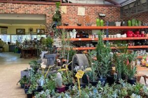 The Gardeners Nursery